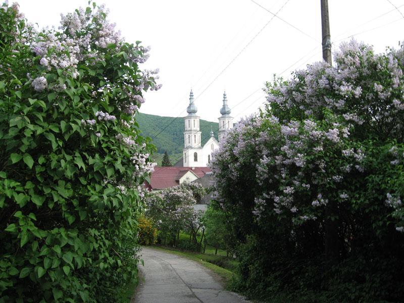 Homestay Khomenko Perečyn Exteriér fotografie