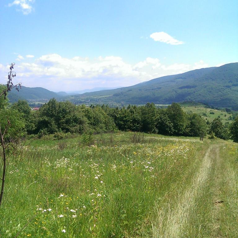 Homestay Khomenko Perečyn Exteriér fotografie