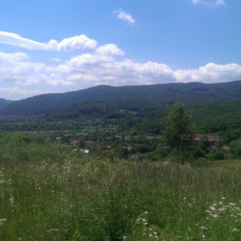 Homestay Khomenko Perečyn Exteriér fotografie