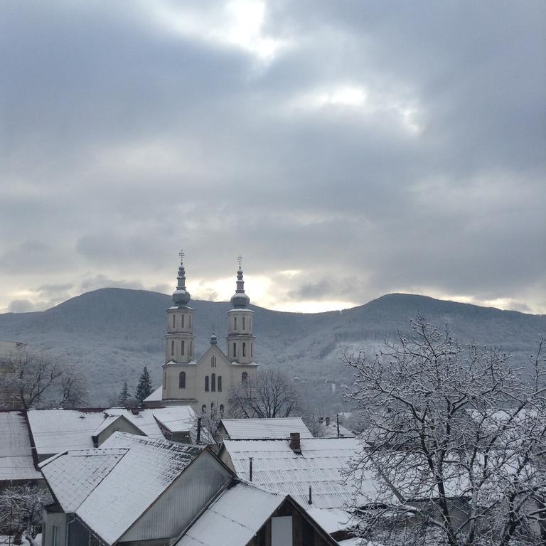 Homestay Khomenko Perečyn Exteriér fotografie